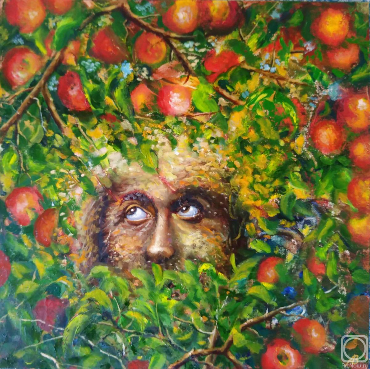 Abaimov Vladimir. Picking the Apples