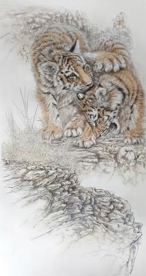 Tiger Cubs