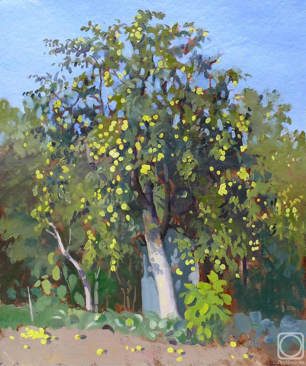Svyatchenkov Anton. Apple tree