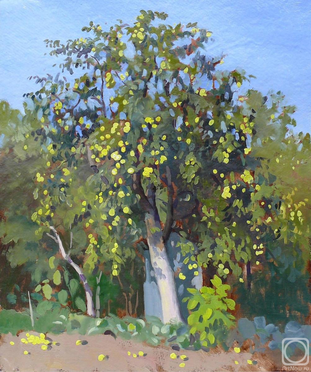 Svyatchenkov Anton. Apple tree (etude)