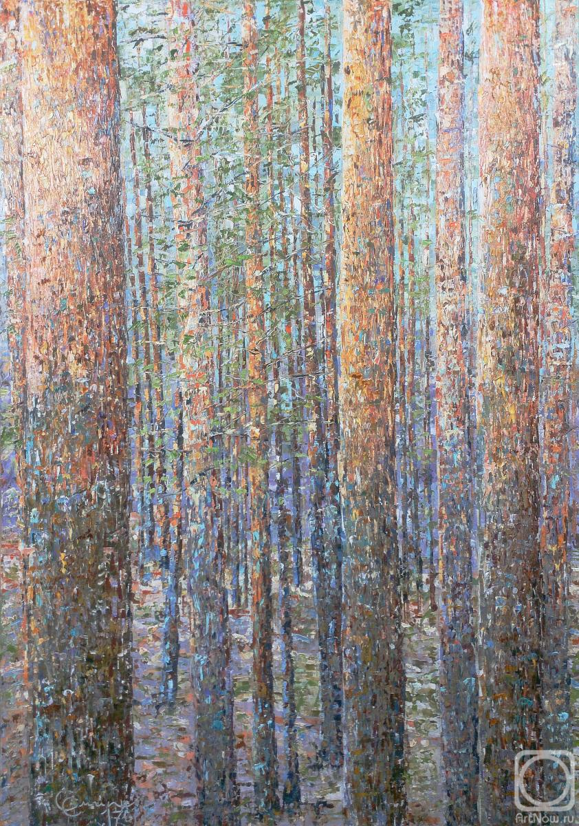 Smirnov Sergey. Pine forest