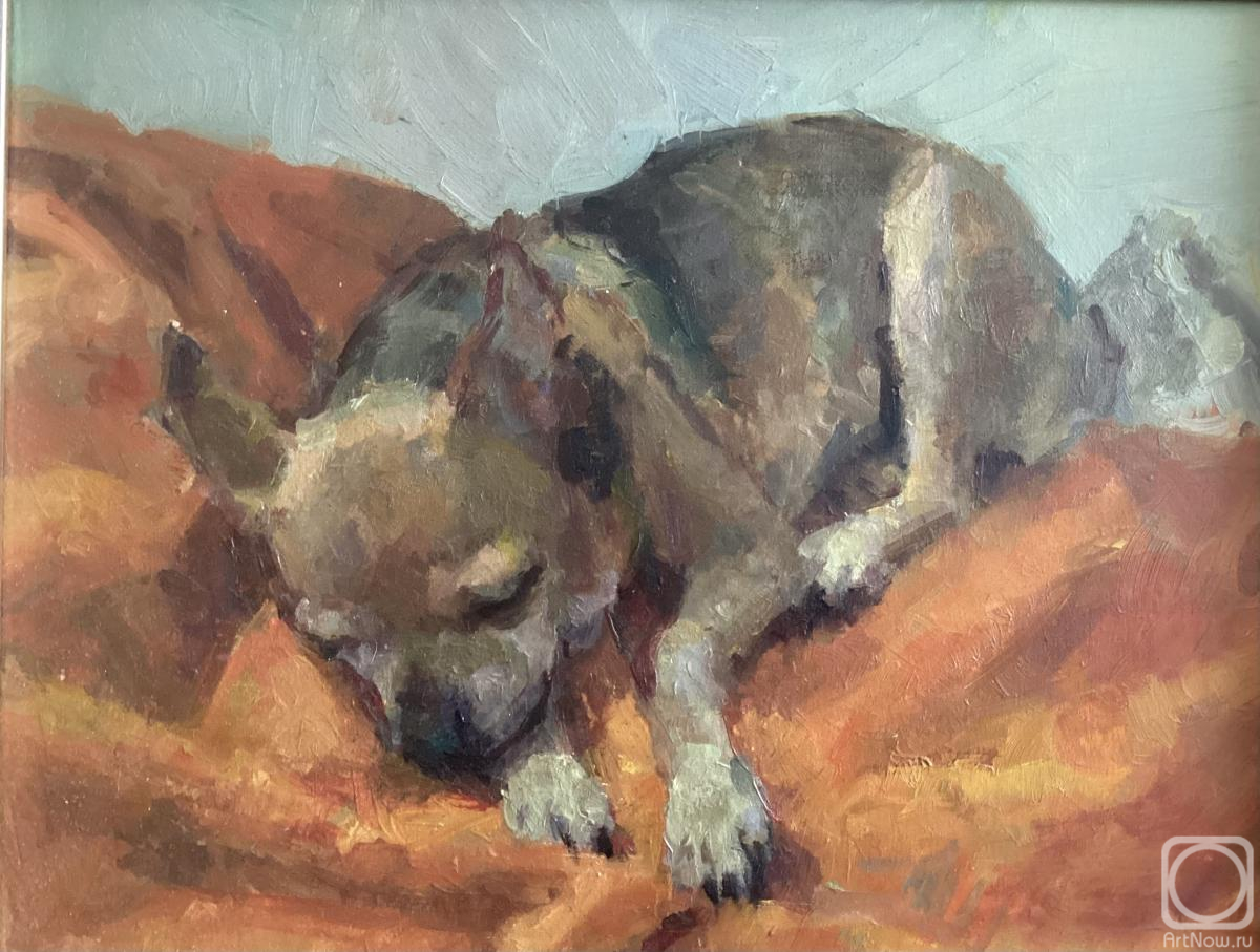Titov Dmitriy. Little dog .oil.canvas.30/40