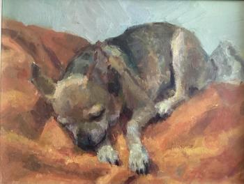 Little dog .oil.canvas.30/40. Titov Dmitriy