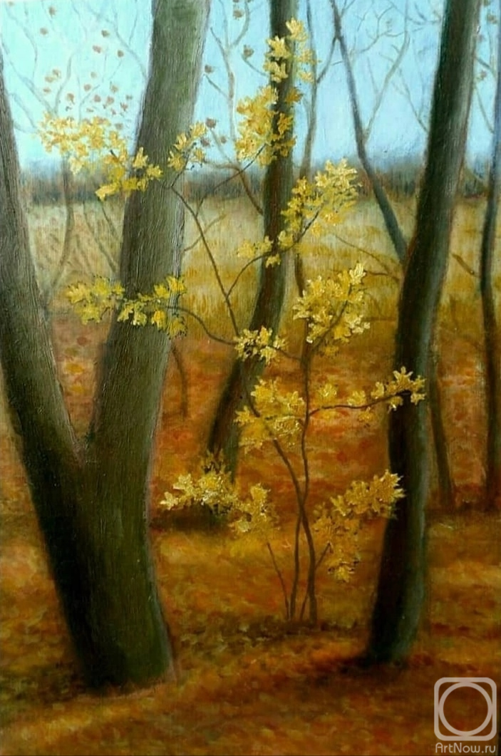 ������� ������ �� ������. ������ �����. ������� ����