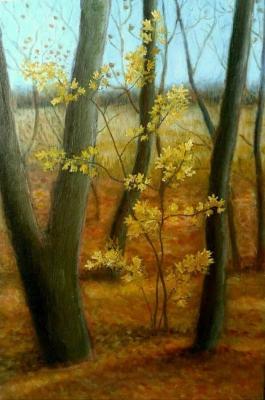 ������� �������� �����