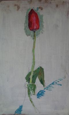 ������� ���������