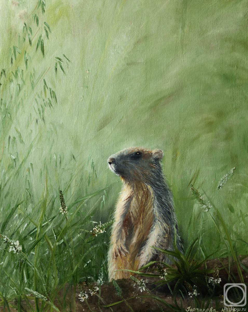 ������� ������ �� ������. ��������� ����. ������