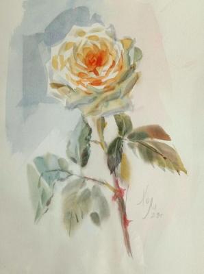 Depth of sensations (An Orange Rose). Holodova Liliya