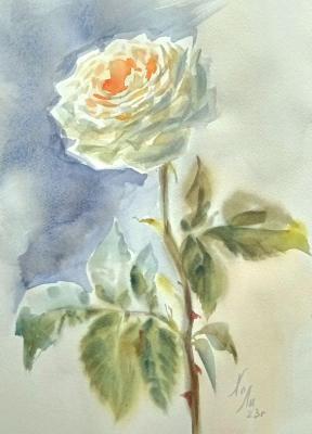 Pink Dream (An Orange Rose). Holodova Liliya