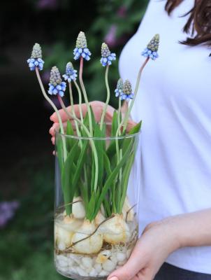 Muscari from a mixture of polymer clays Cold porcelain