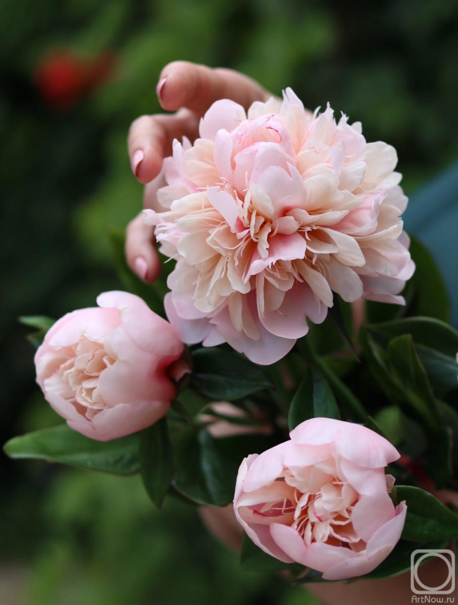 ��������� ����. ����� ����� �� ��������� ������� (���������� �����)