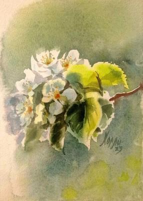 Apple tree in bloom (Painting Contour). Holodova Liliya