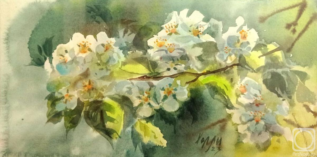 Holodova Liliya. Apple tree in bloom