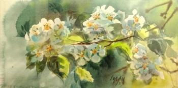 Apple tree in bloom. Holodova Liliya
