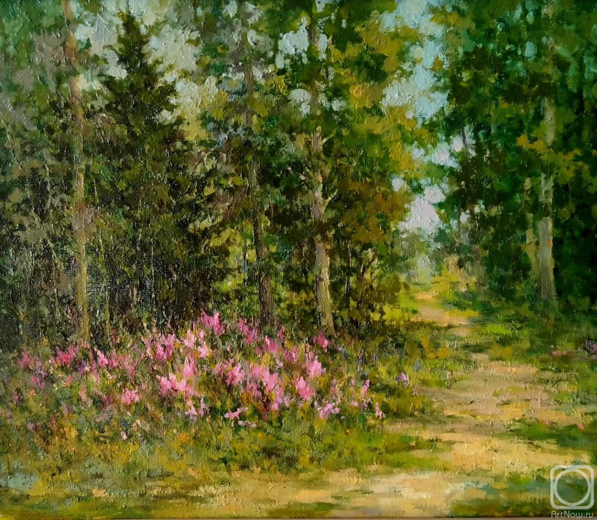 ������� ������ �� ������. ����������� ���������. �������� ����