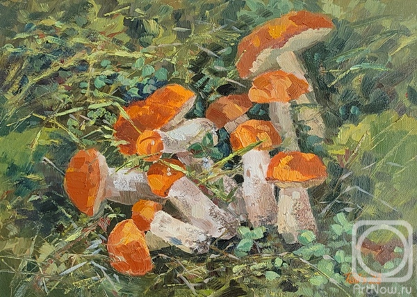 ������� ������ �� ������. ���������� ������. ������� ������������