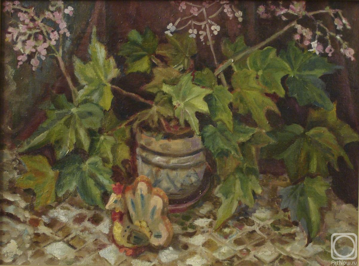 Anisova Irada. Begonia royal