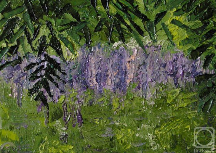 �������. ���������� �����. ��������� �����