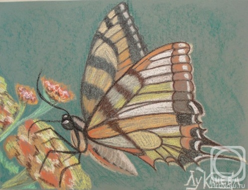 �������. �������� ������. ��������� ������ 2