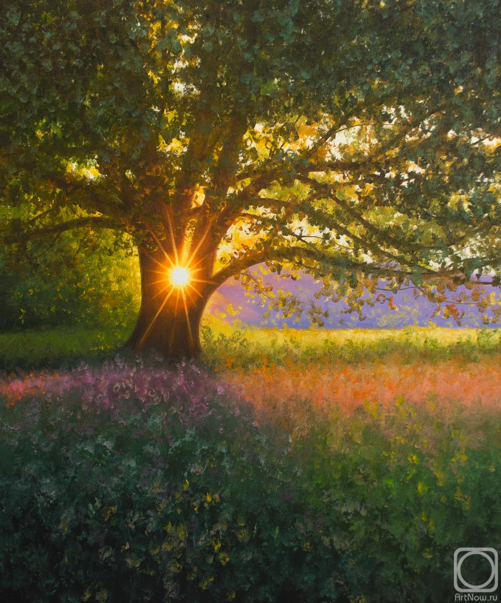 ������� ������ �� ������. ��� ��������. ����