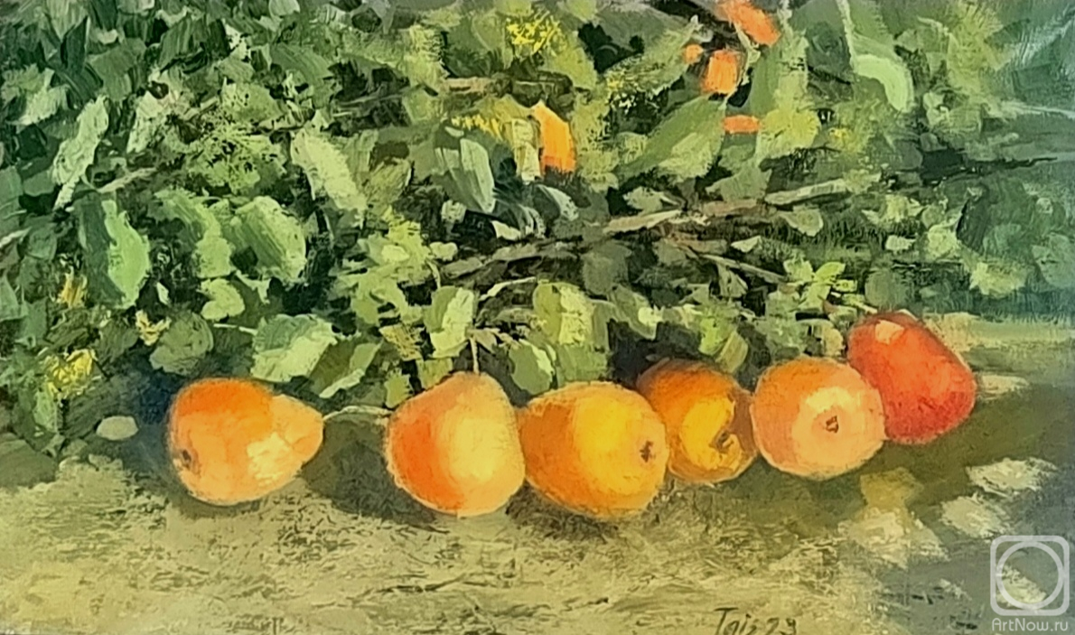 ������� ������ �� ������. ���������� ������. ������� �����