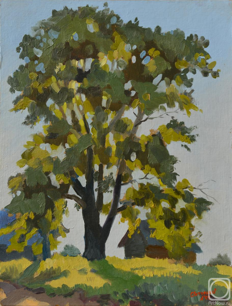 �������. ���������� �����. ������ ��� (����)