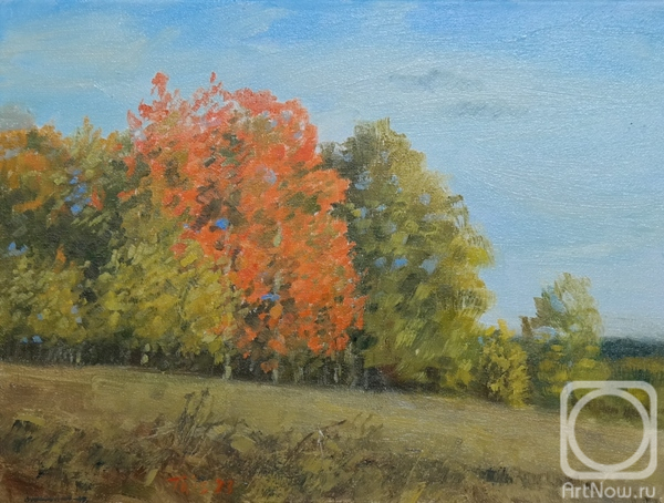 ������� ������ �� ������. ���������� ������. ������ ����