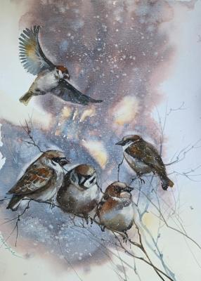  (Sparrows).  