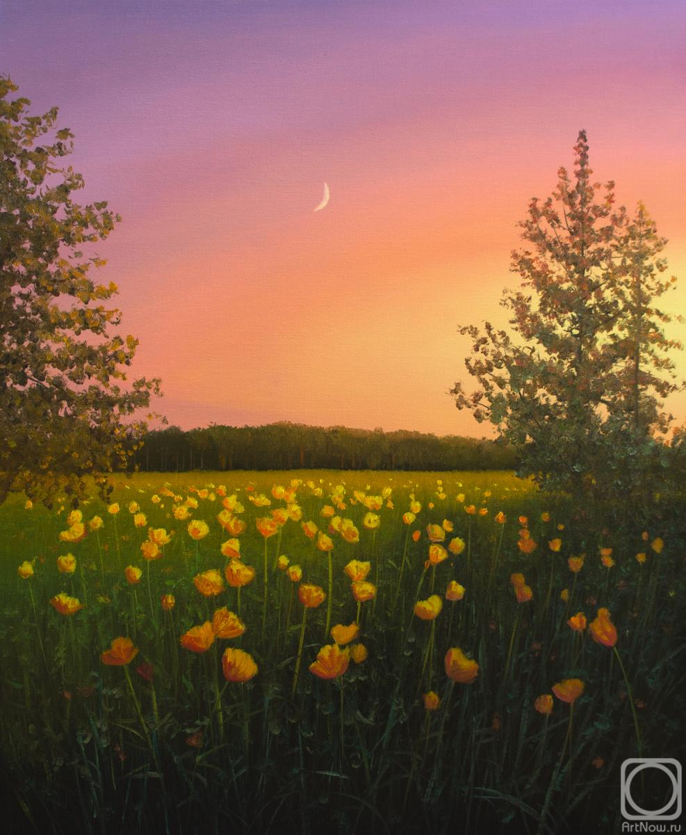 ������� ������ �� ������. ��� ��������. ����� �����