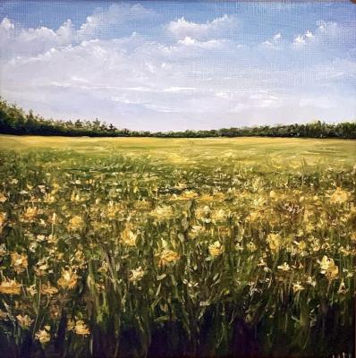 Flowering field. Chernogorova Irina