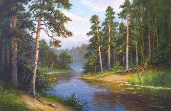 Forest Lake. Solovyev Sergey