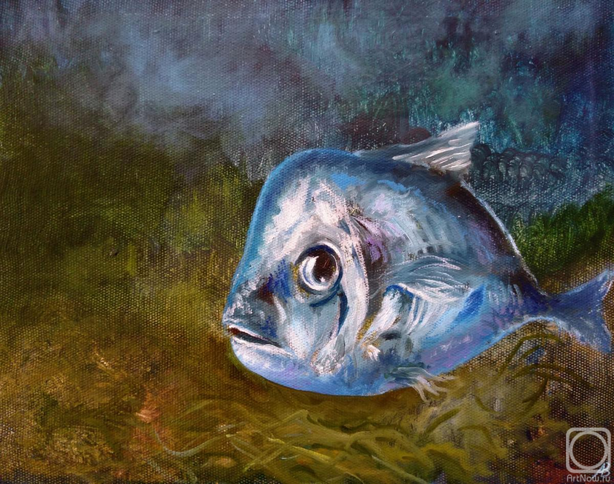 Abaimov Vladimir. Small Fish