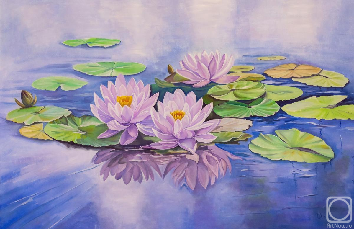 Volna Olga. Water lilies