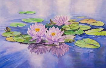 Water lilies. Volna Olga