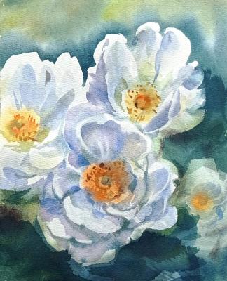 White rosehip ( ). Holodova Liliya