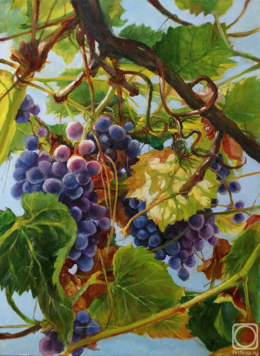 ������� ������ �� ������. ������� �����. ������ �����