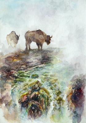 Bison at the watering. Gunyakov Pavel
