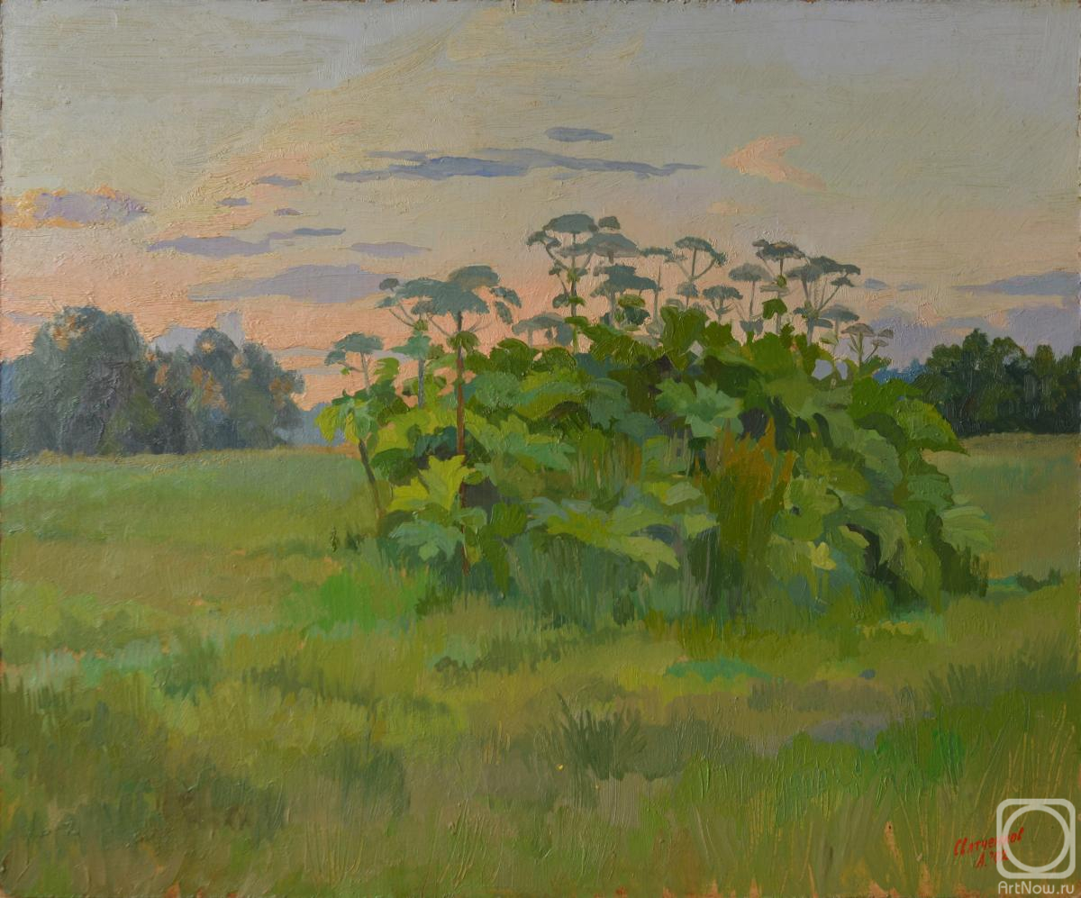 �������. ���������� �����. �������� (����)