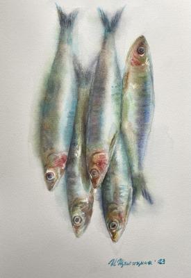 �������. �������� �����