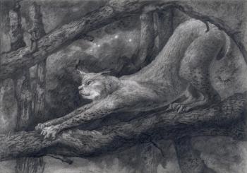 Lynx stretches herself (Photorealistic). Dementiev Alexandr
