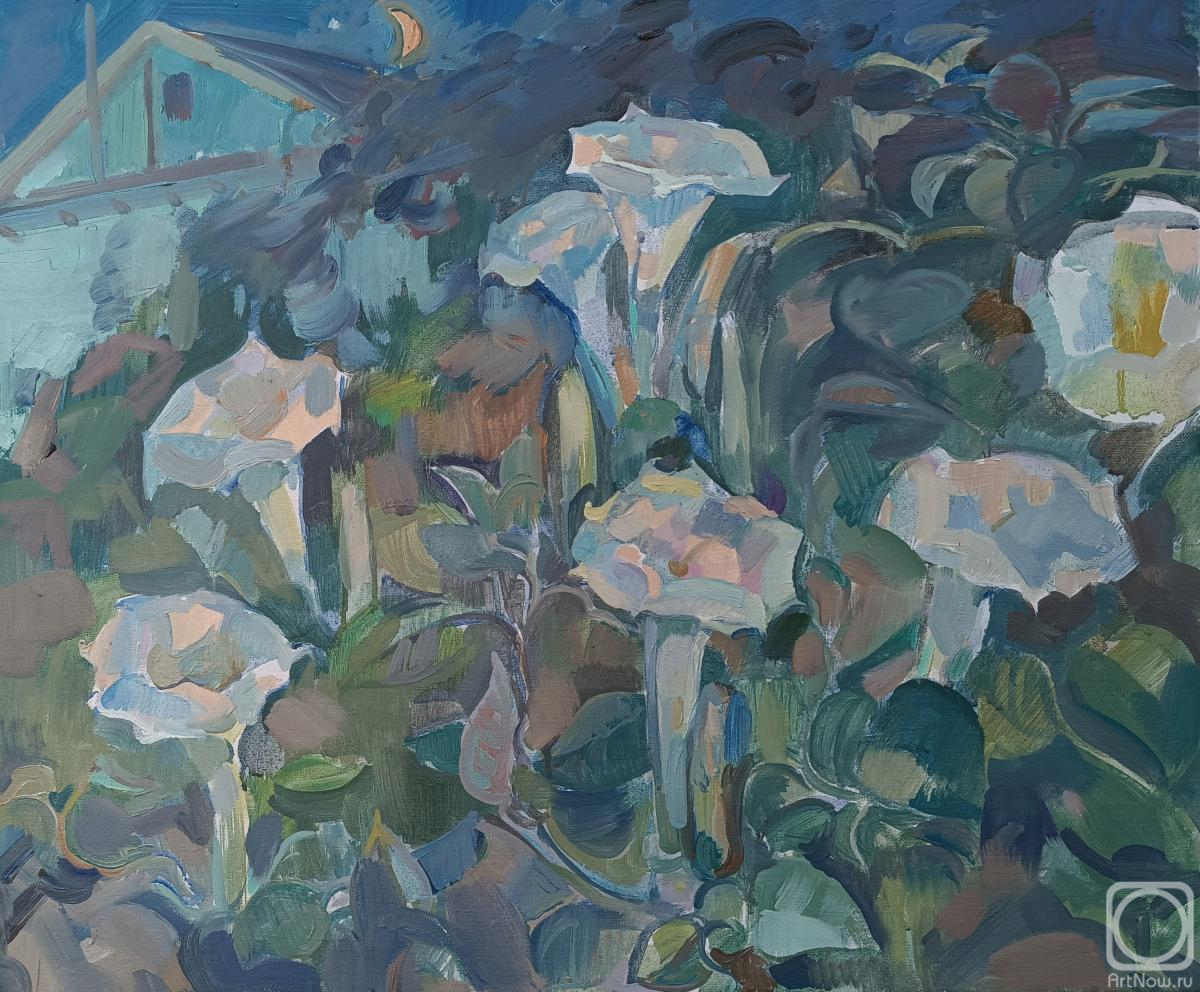 ������� ������ �� ������. �������� �����. ������ ������