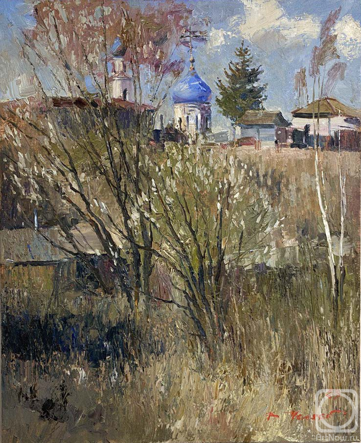 Chelyaev Vadim. Willow blossoms