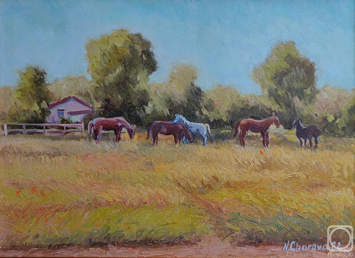 ������� ������ �� ������. ������ ������. ���� �� ������