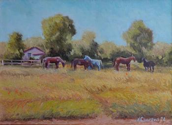 ������� ����� �� ������