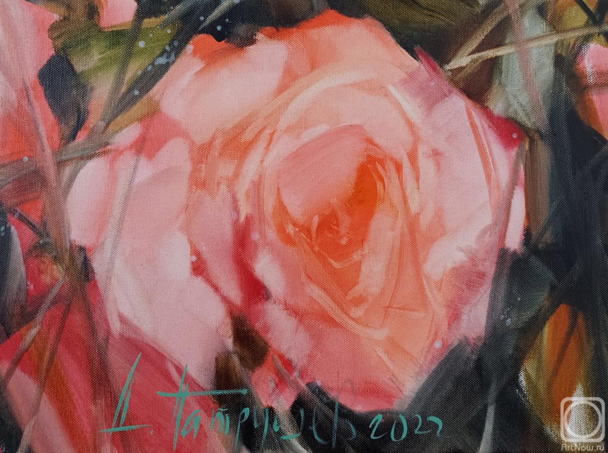 ������� ������ �� ������. �������� �������. ����