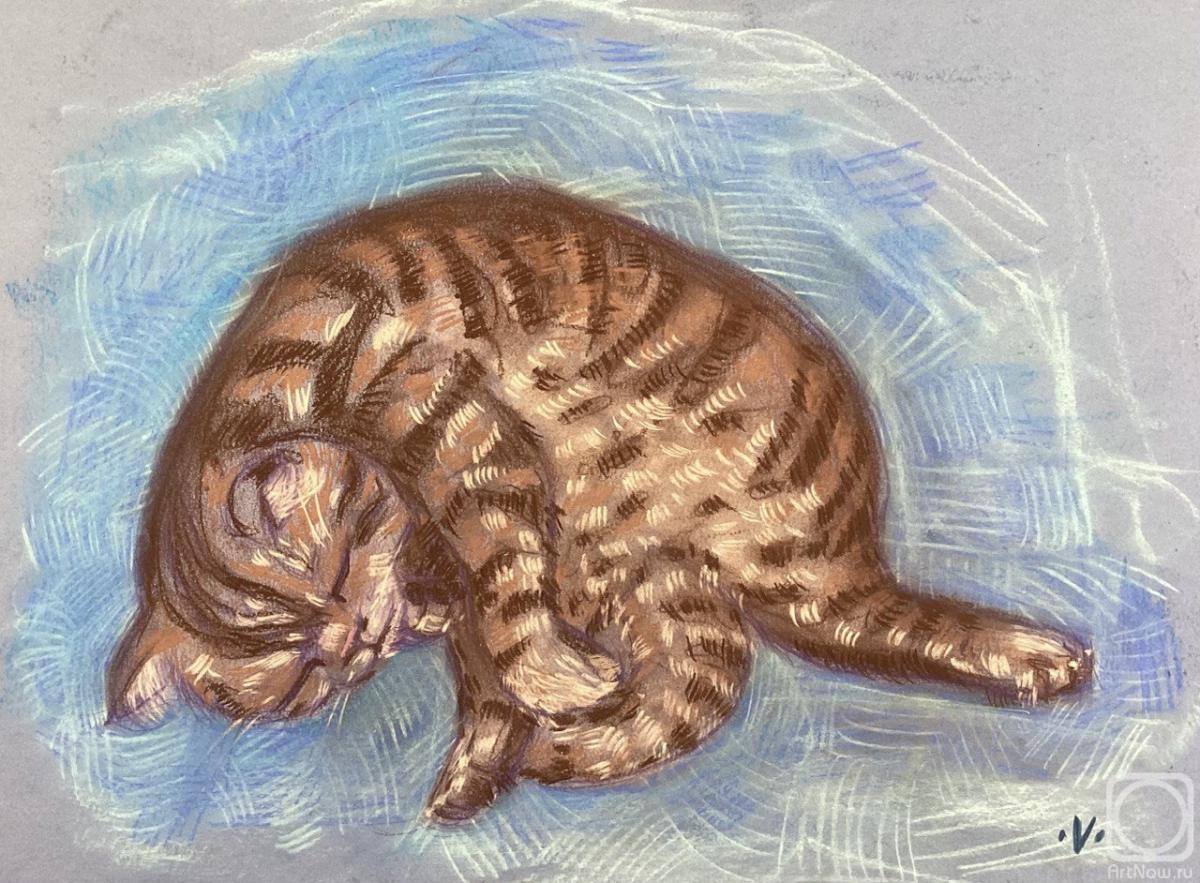 �������. ������ ��������. ������