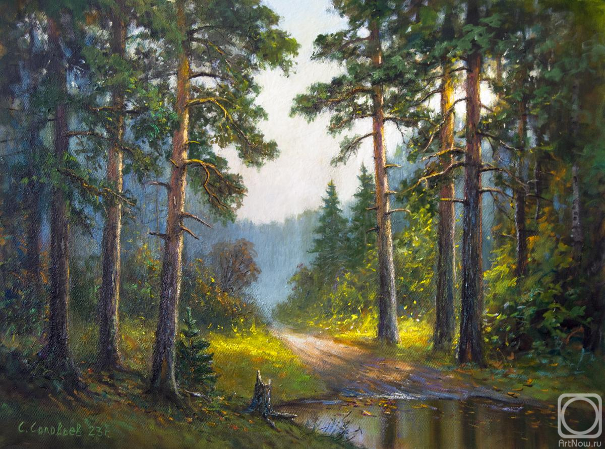 Solovyev Sergey. In the pine forest