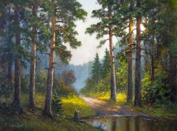 In the pine forest. Solovyev Sergey