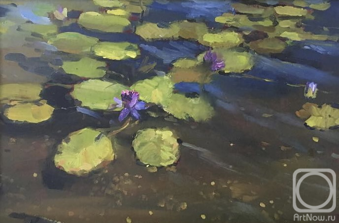 ������� ������ �� ������. ������� Ը���. ��������