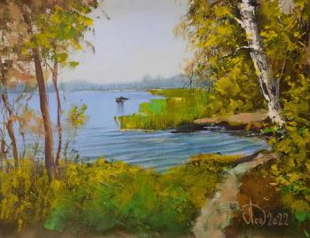 Birch on the shore. Lednev Alexsander